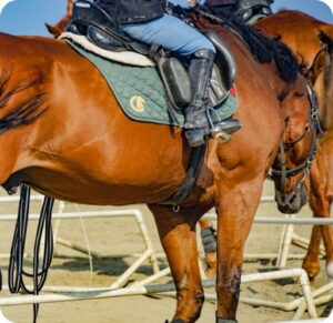 『競馬場PC』の画像